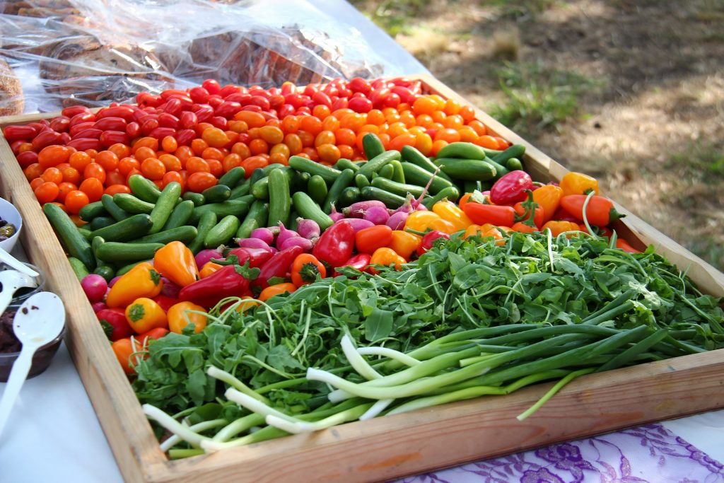 peluang bisnis sayur organik