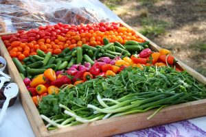 peluang bisnis sayur organik